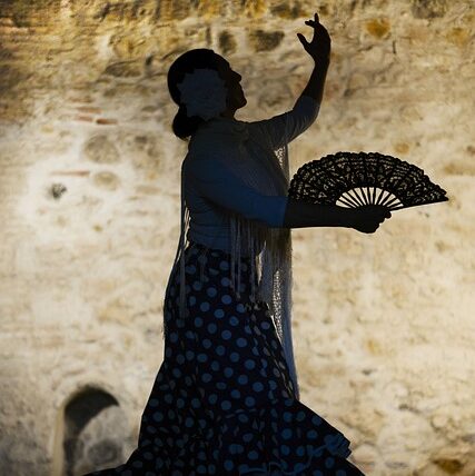 flamenco-640